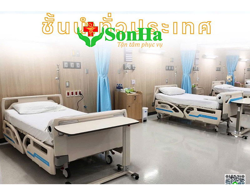 giuong paramount bed qualitas